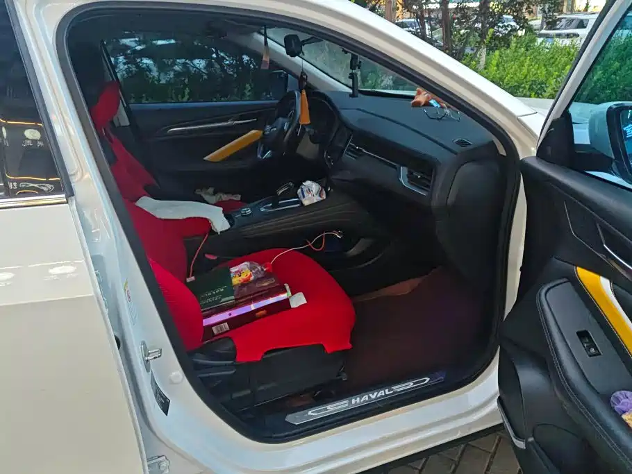 Haval F7x — миниатюра 8