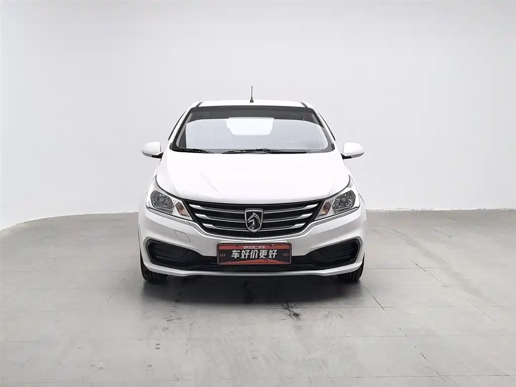 BAOJUN 310