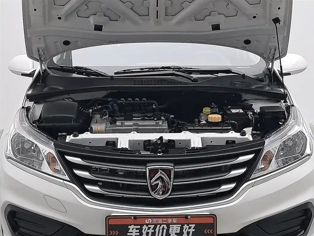 BAOJUN 310