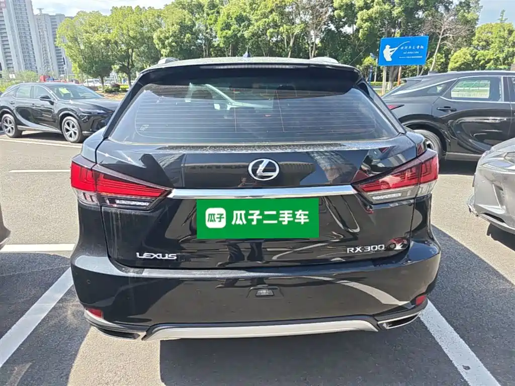 Lexus RX 2020 300 Elite VI