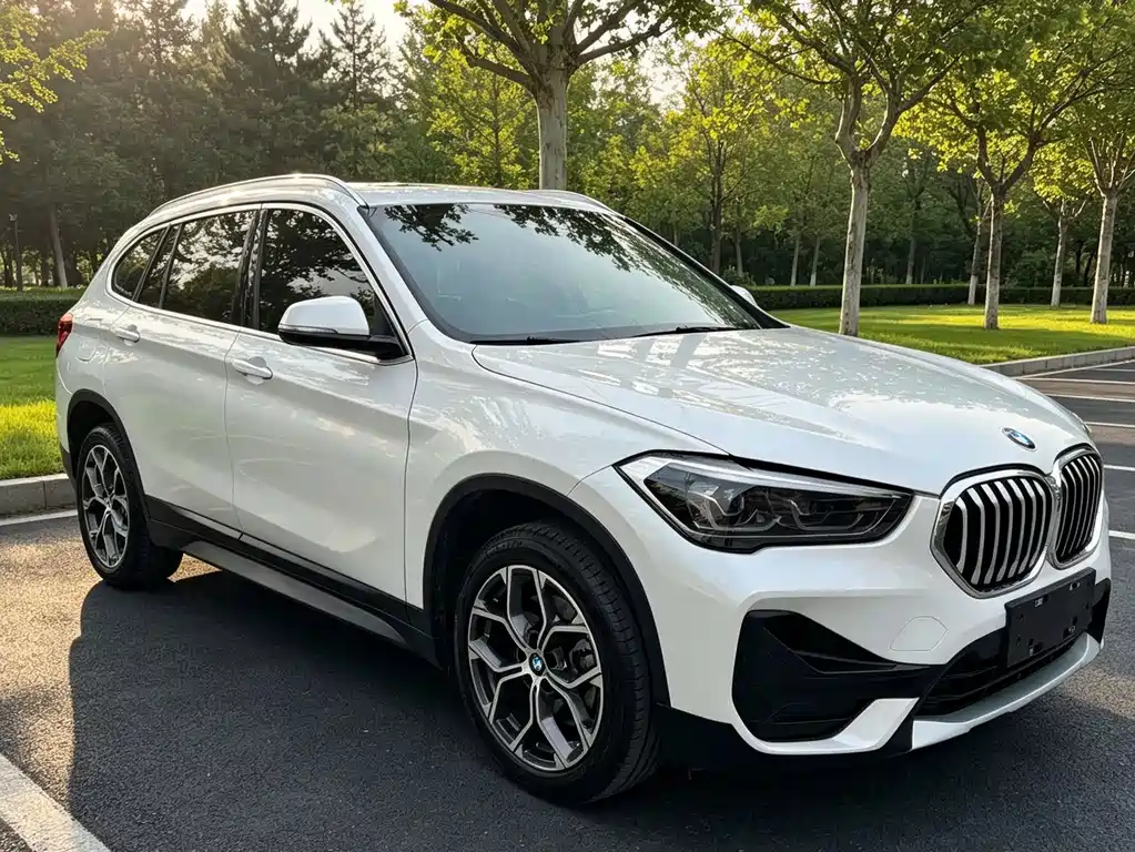 BMW X1 — миниатюра 3