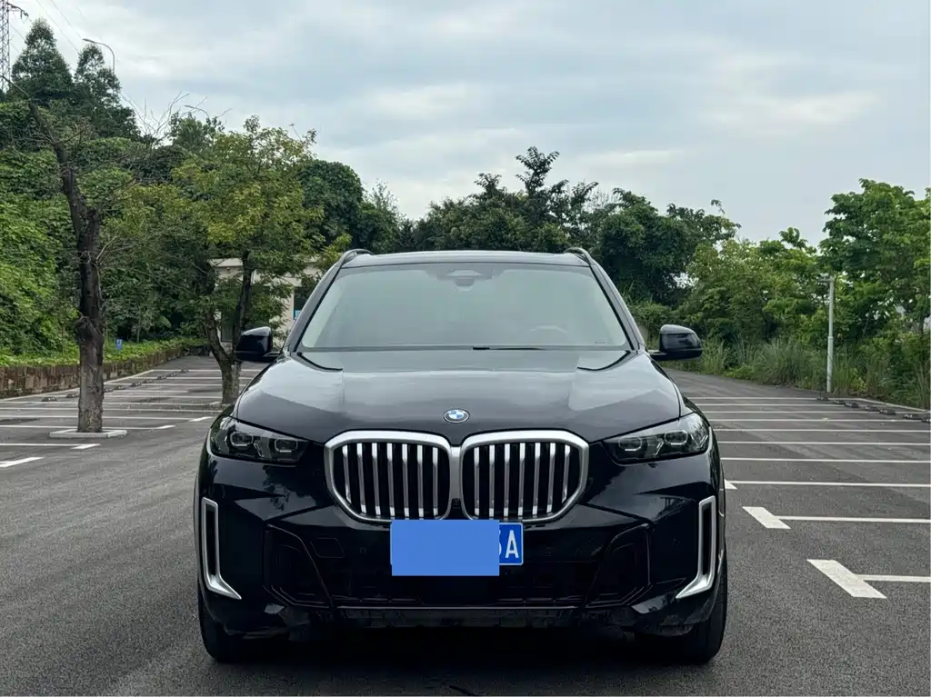 BMW X5 2025 xDrive 30Li Premium M Sport