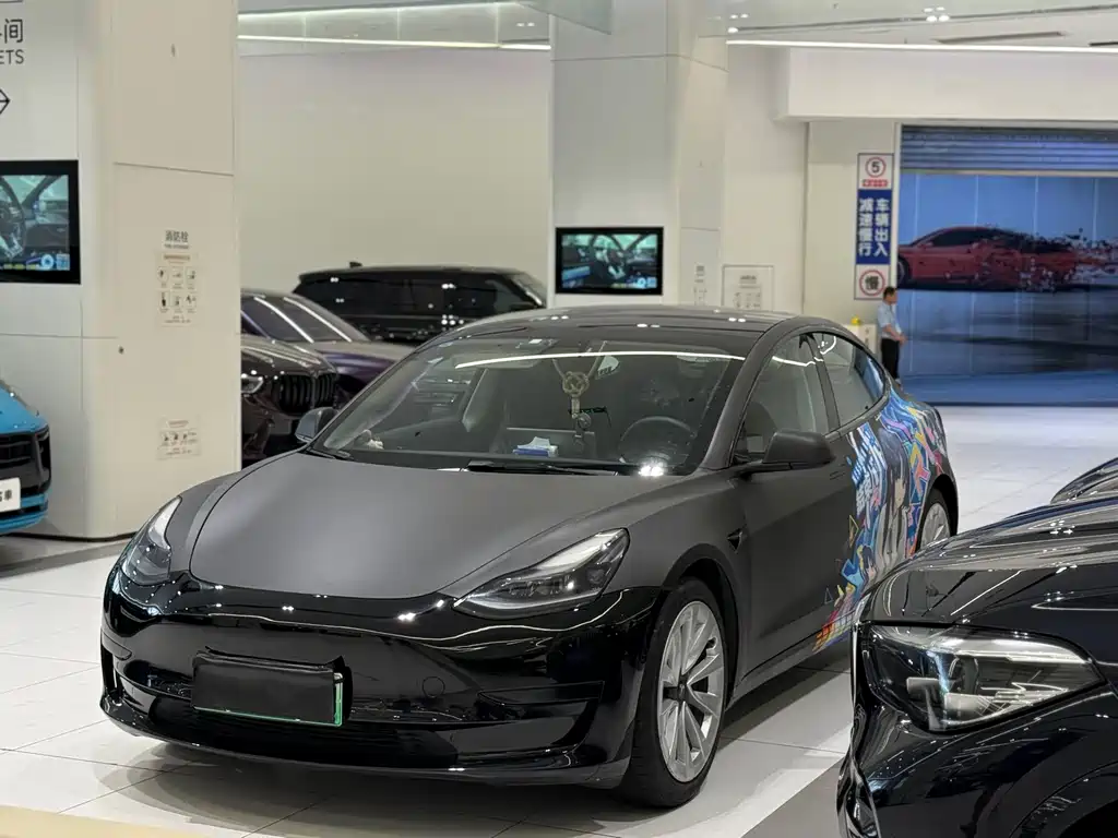 Tesla Model 3 2021 3D6
