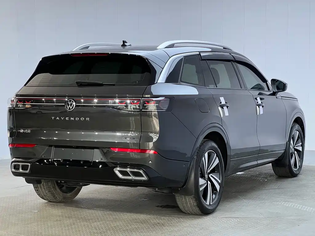 Volkswagen Tavendor — миниатюра 27