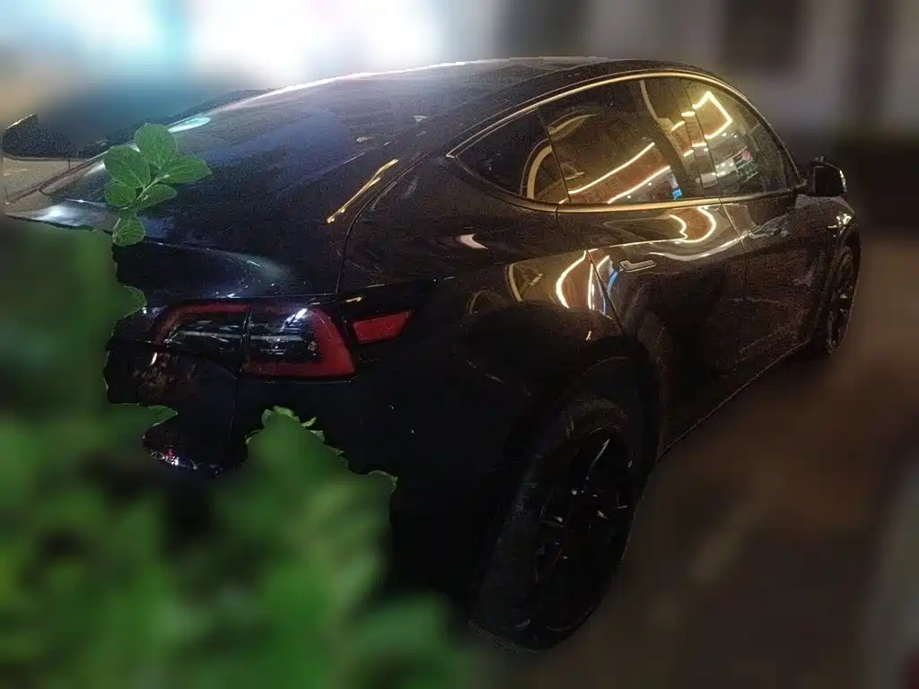 Tesla Model Y — миниатюра 5