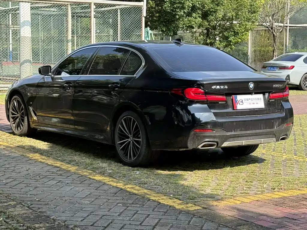 BMW 5 Series — миниатюра 5