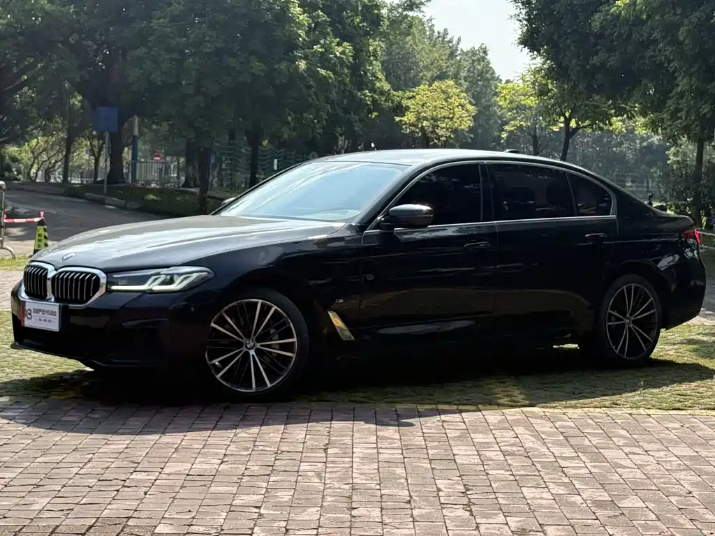 BMW 5 Series — миниатюра 2