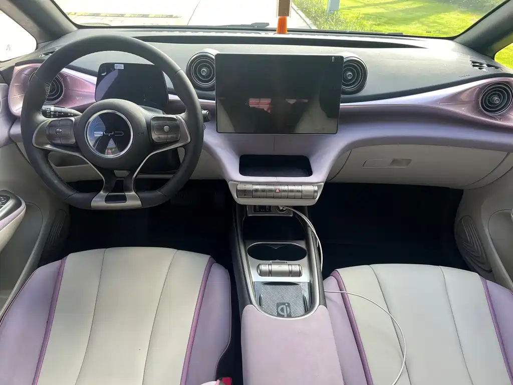 BYD Dolphin 2021 405km Fashion