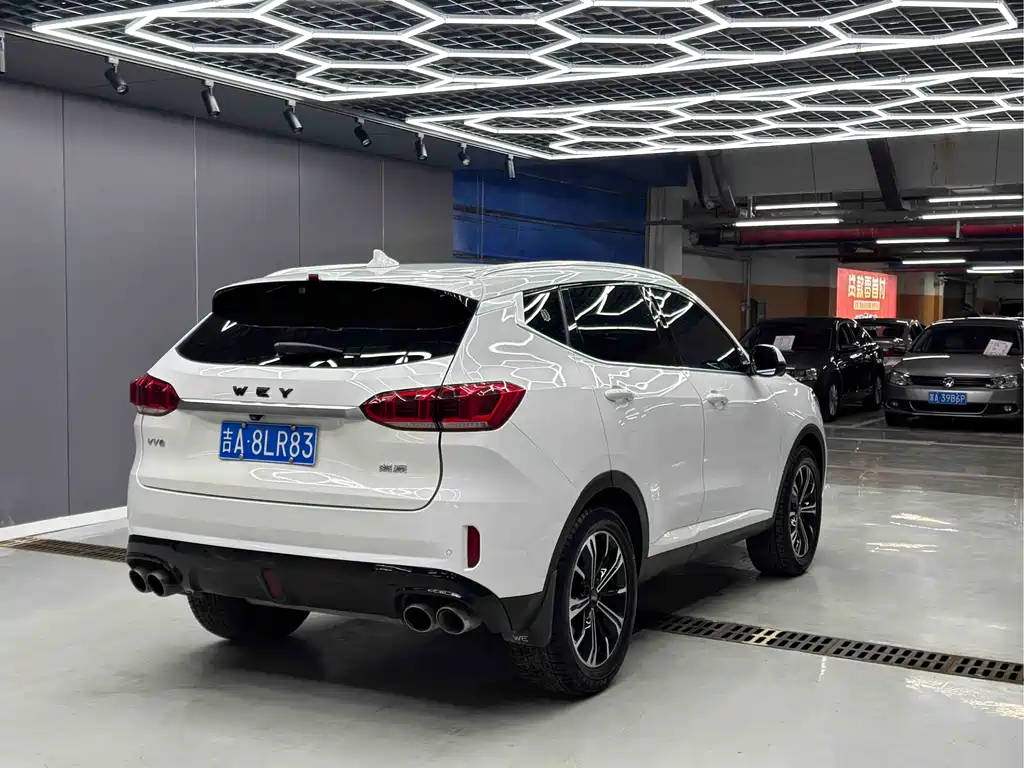 WEI PAI WEI BRAND VV6