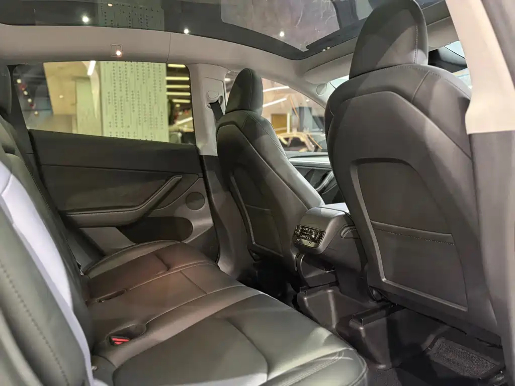 Tesla Model Y — миниатюра 11