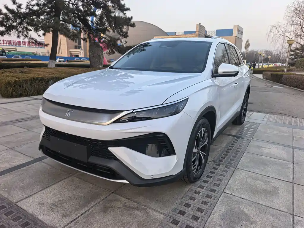 BYD SONGJIANG NEW ENERGY