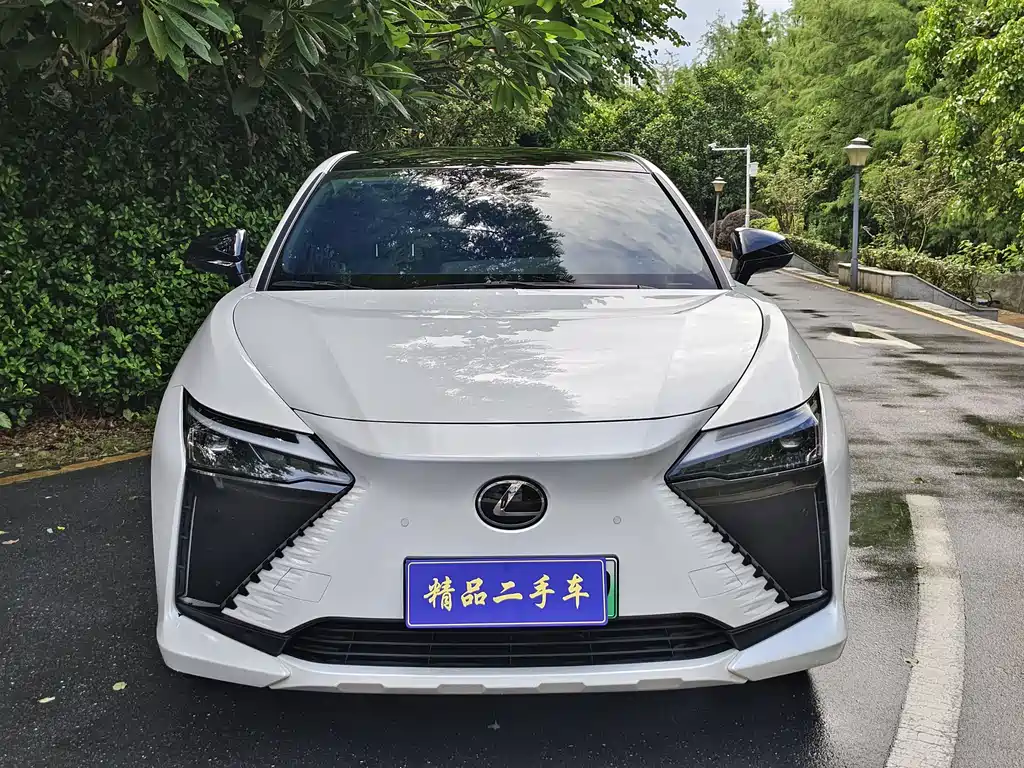 Lexus RZ — миниатюра 2