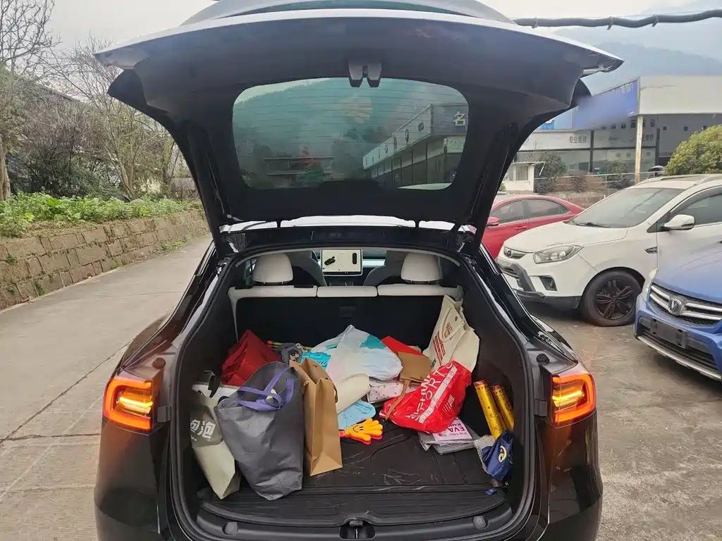 Tesla Model Y — миниатюра 15