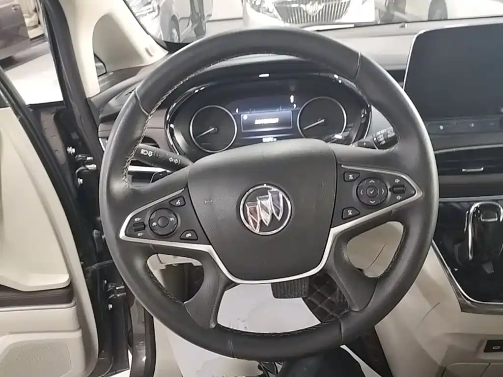 Buick GL8 — миниатюра 11