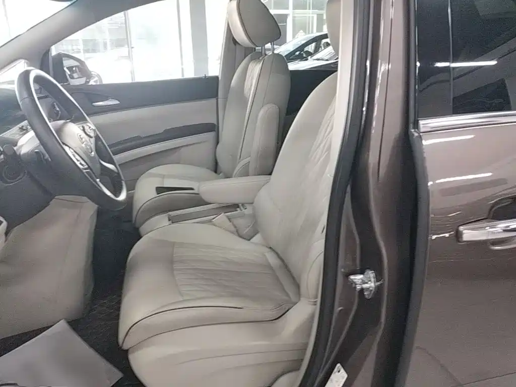 Buick GL8 — миниатюра 15