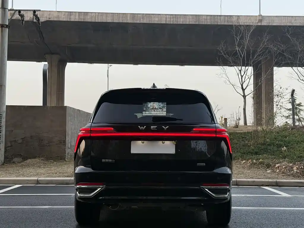 WEI PAI WEI BRAND BLUE MOUNTAIN