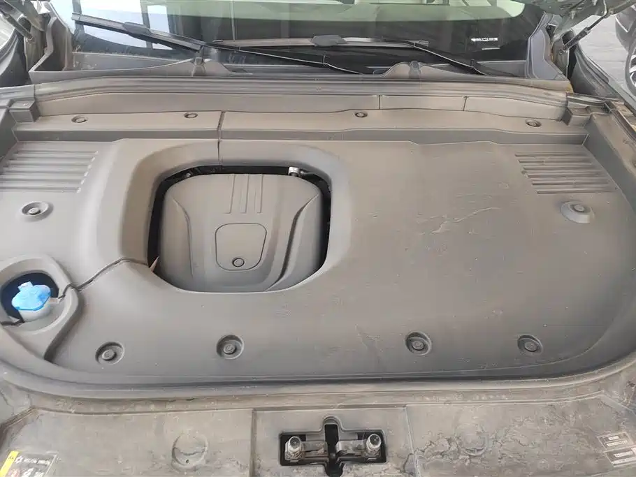 WEI PAI WEI BRAND BLUE MOUNTAIN