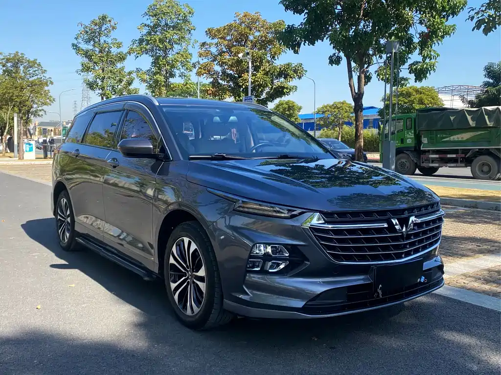 WULING WULING CAPGEMINI