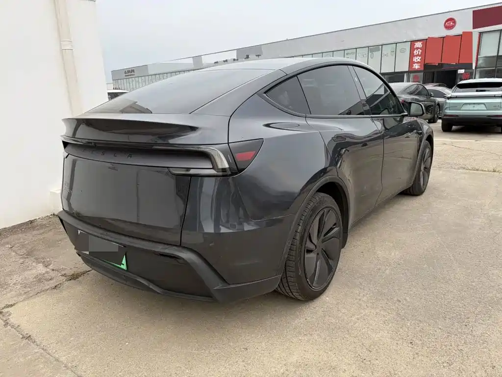 Tesla Model Y — миниатюра 4