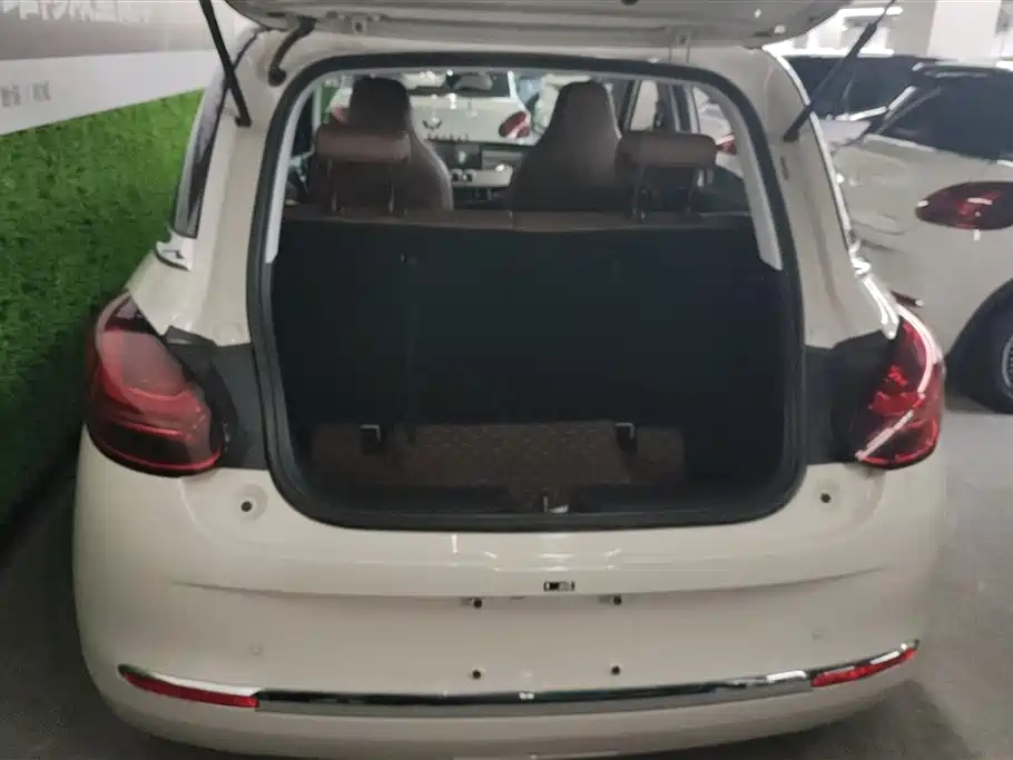 Wuling Binguo 2024 333km Enjoy