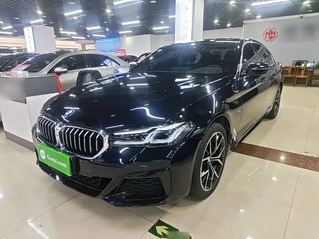 BMW 5 Series — миниатюра 2