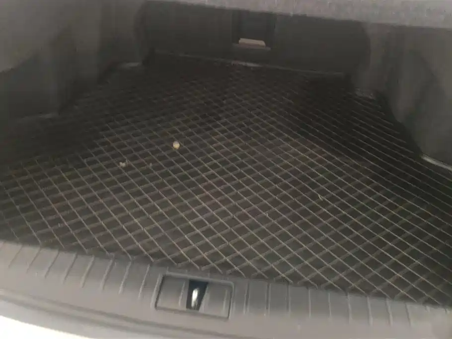 GEELY AUTOMOBILE BORUI