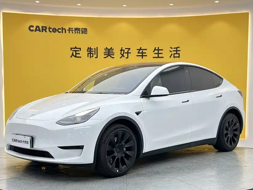 Tesla Model Y — миниатюра 12