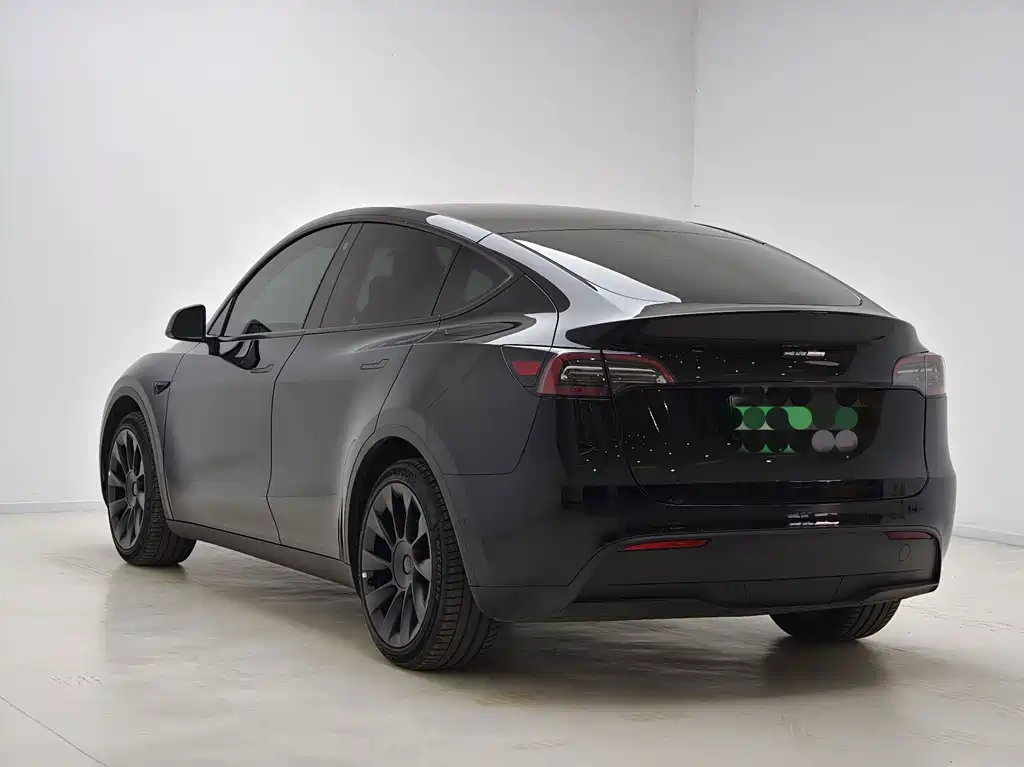 Tesla Model Y — миниатюра 9