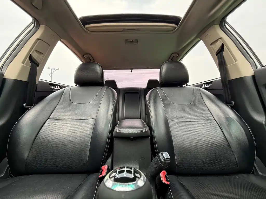 BYD Surui — миниатюра 15
