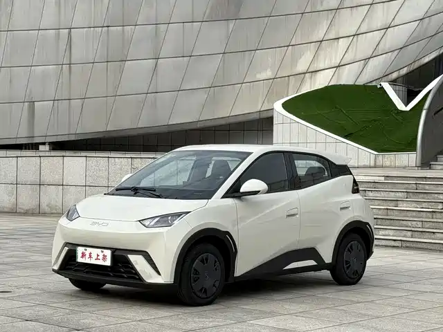 2024 BYD Seagull