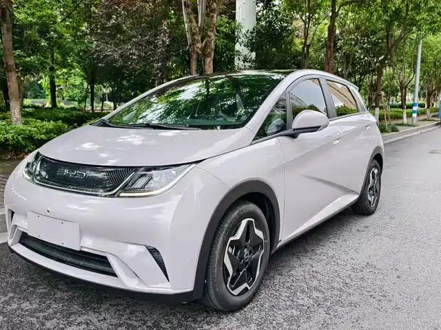 2022 BYD Dolphin