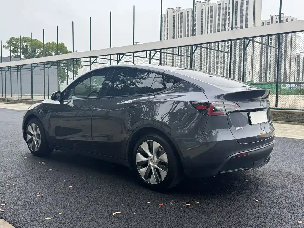 Tesla Model Y — миниатюра 12