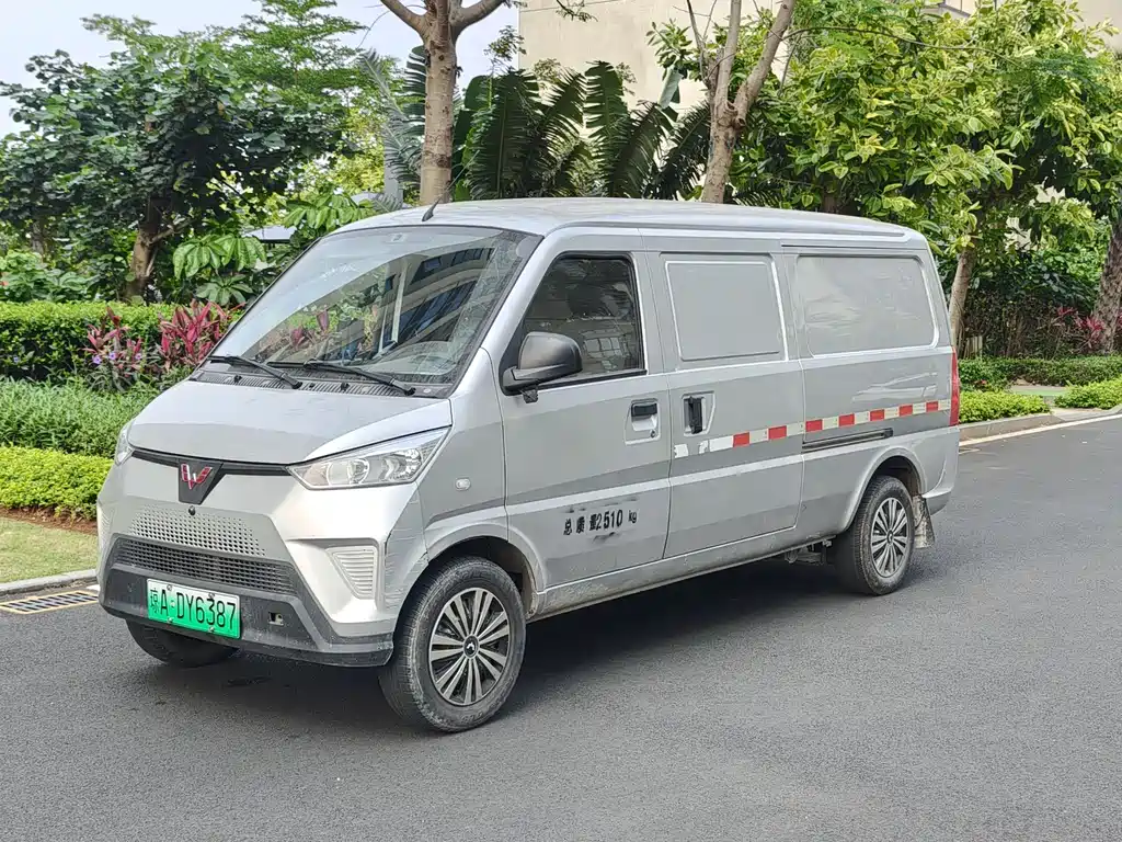 Wuling Wuling EV50 2022