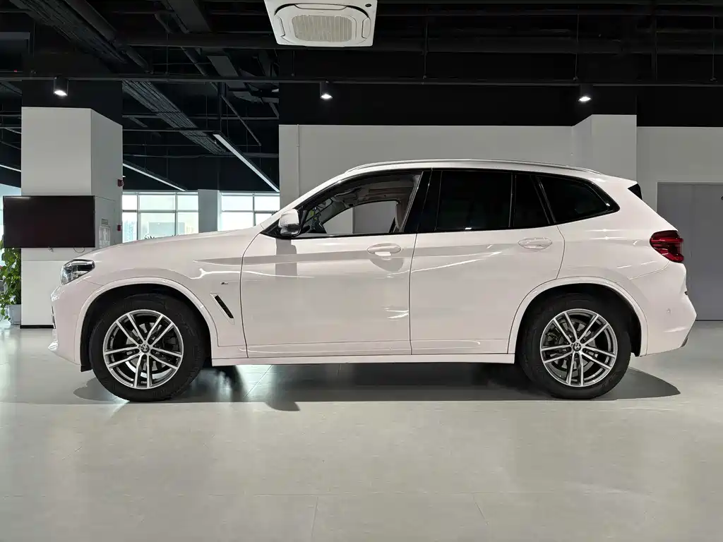 BMW X3 2018 xDrive25i M Sport VI