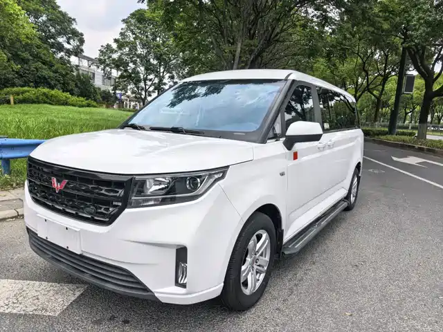 2023 Wuling Motors Zhengcheng