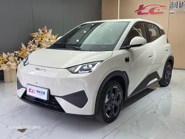 2025 BYD Seagull