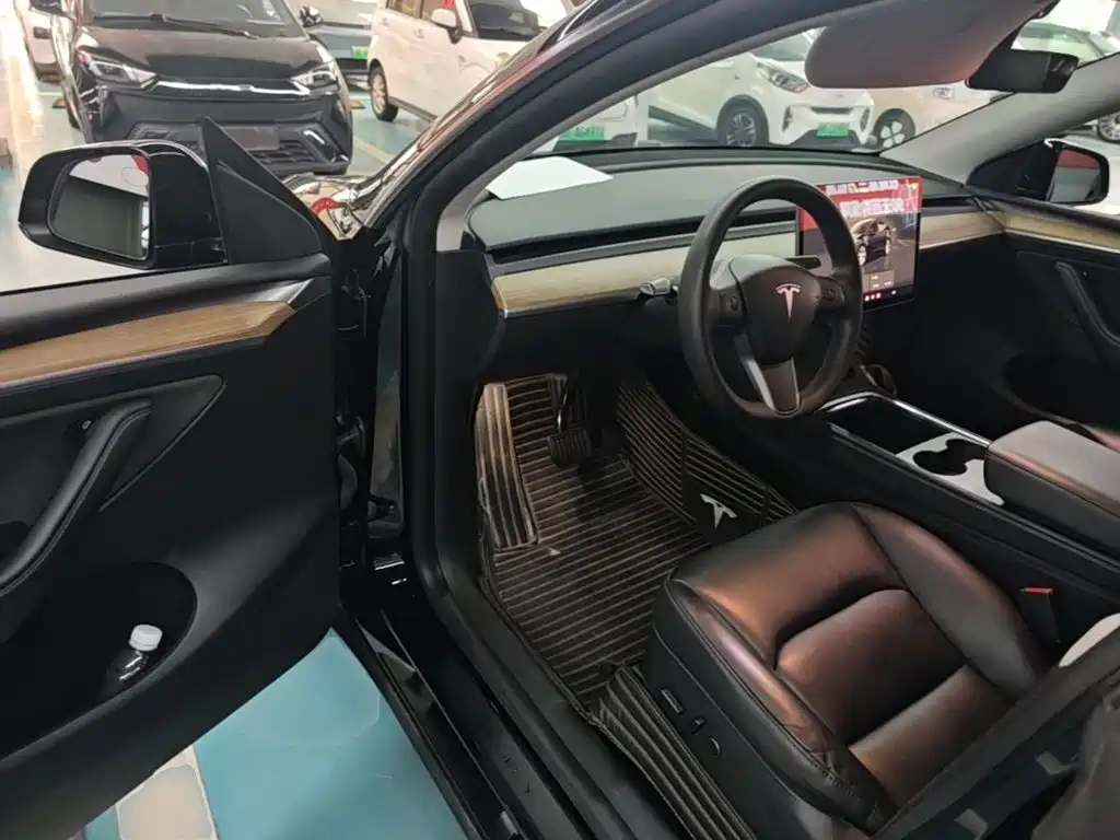 Tesla Model Y — миниатюра 16