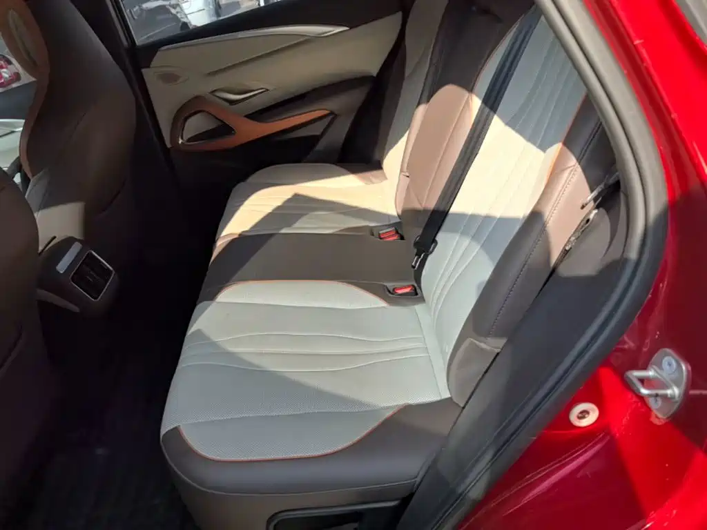 BYD Pro New Energy — миниатюра 17