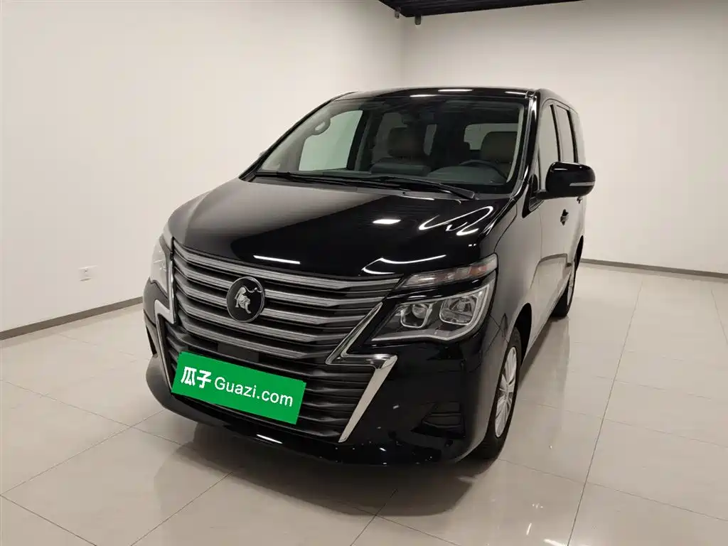 Fengxing Lingzhi 2024