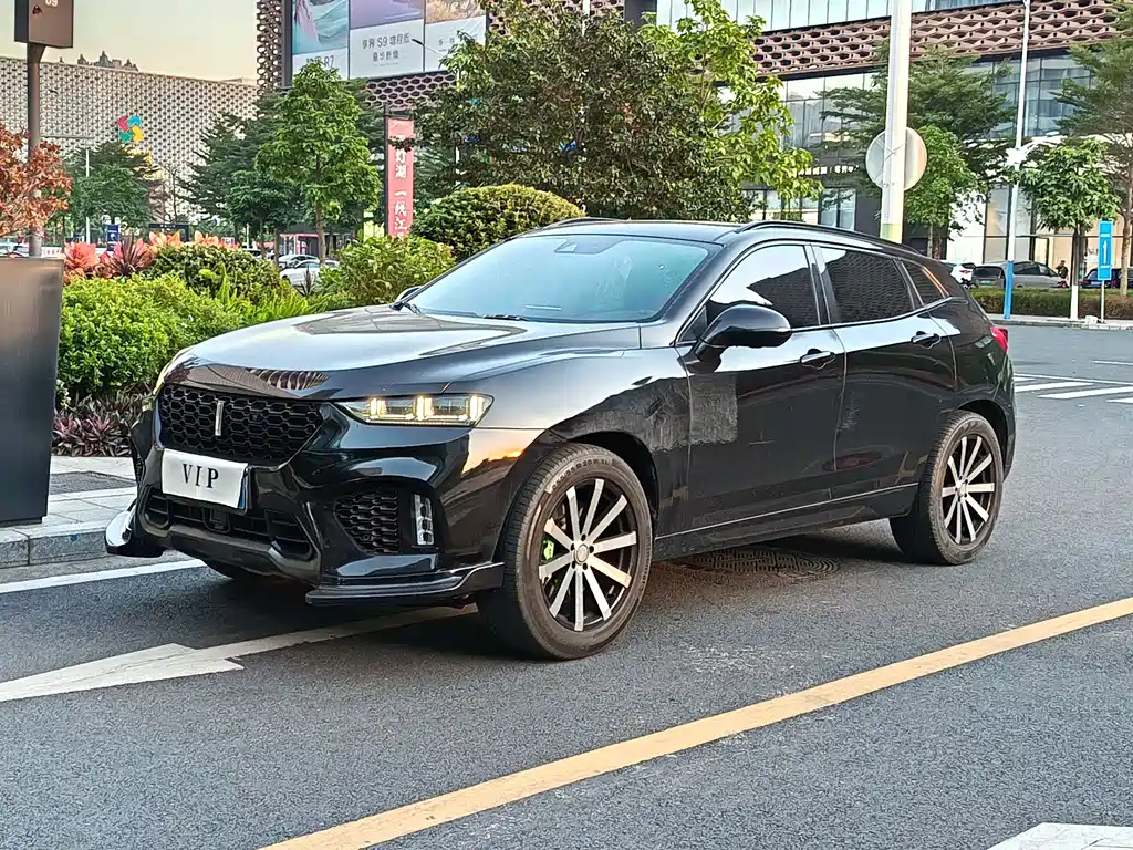 WEI PAI WEI BRAND VV7