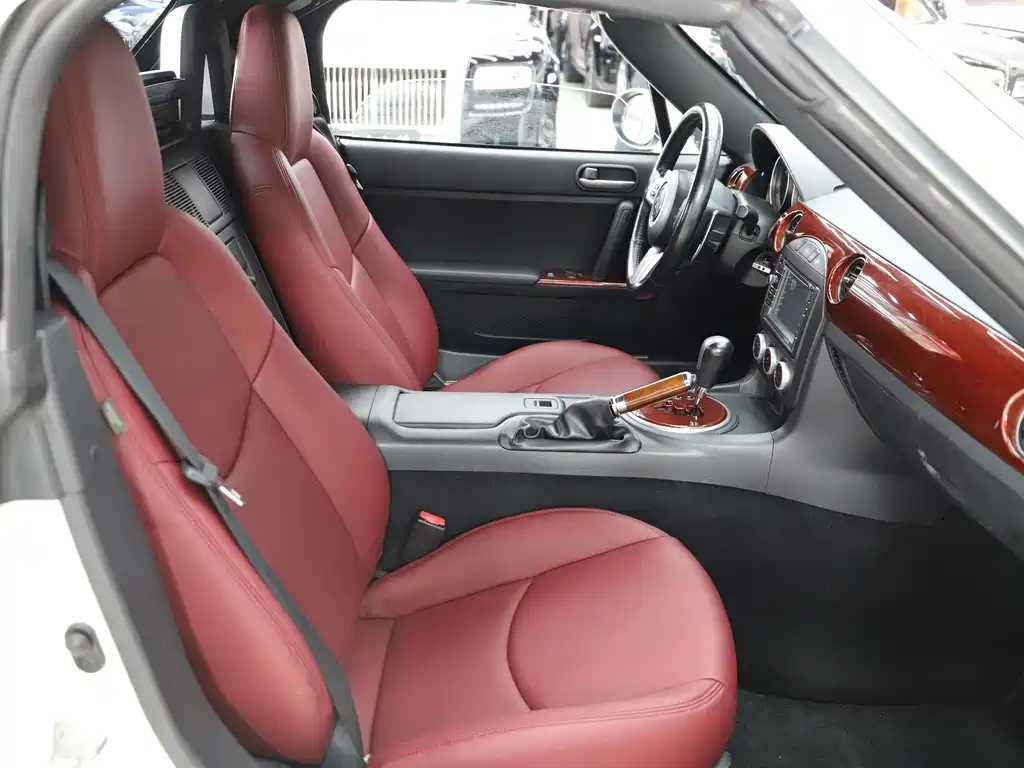 Mitsuoka Queen — миниатюра 7