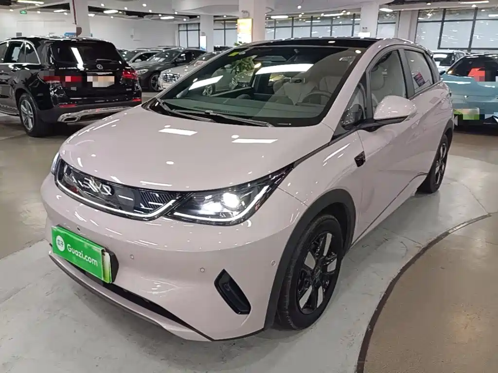 BYD Dolphin