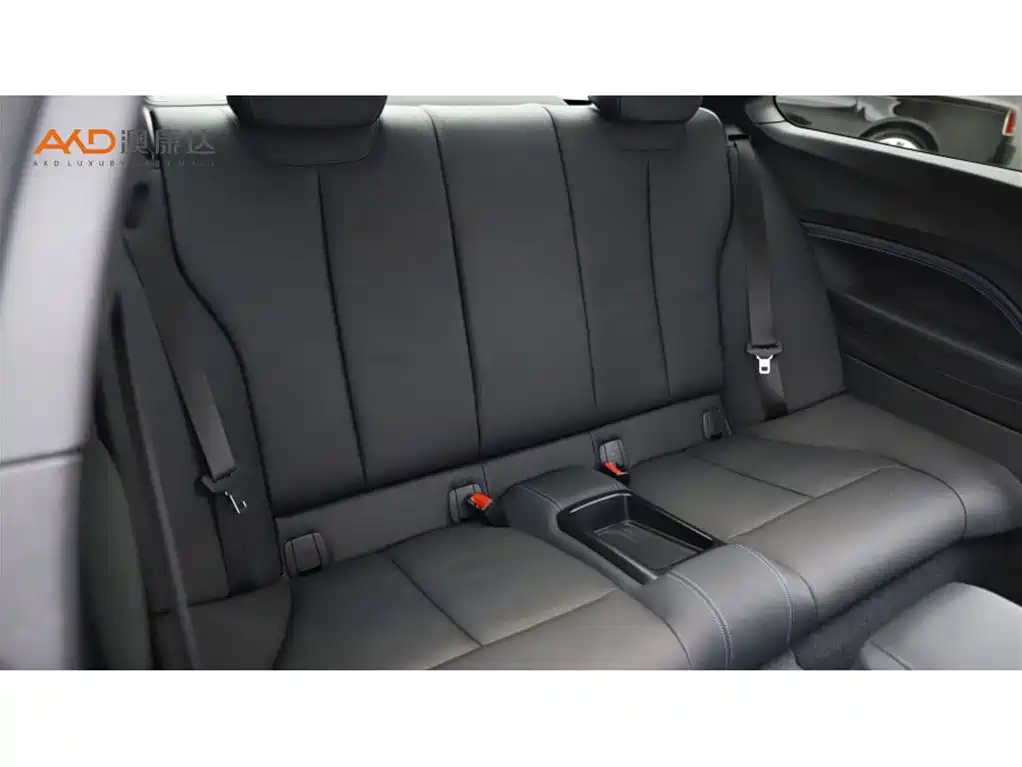 BMW 2 Series 2 2019 225i Premium M Sport