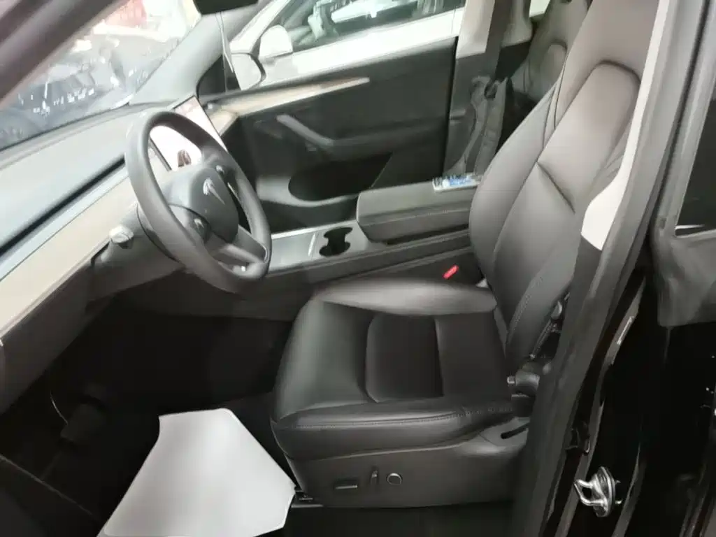 Tesla Model Y — миниатюра 15