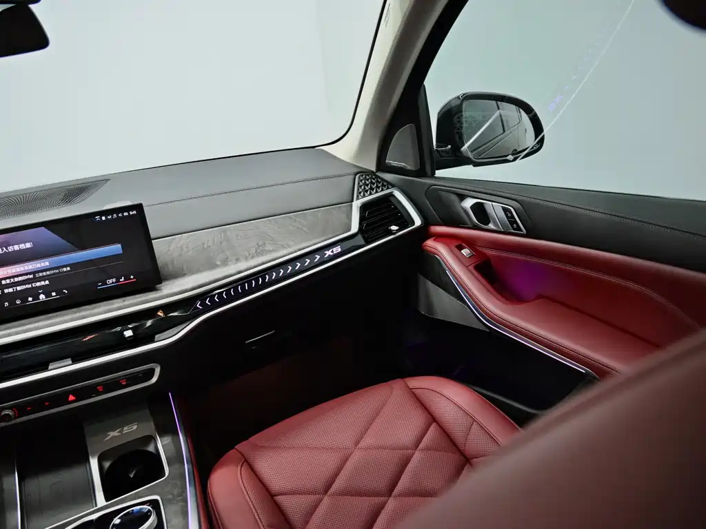 BMW X5 — миниатюра 11