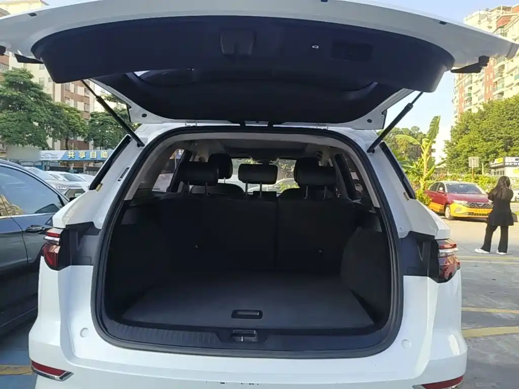 BYD Pro New Energy — миниатюра 18