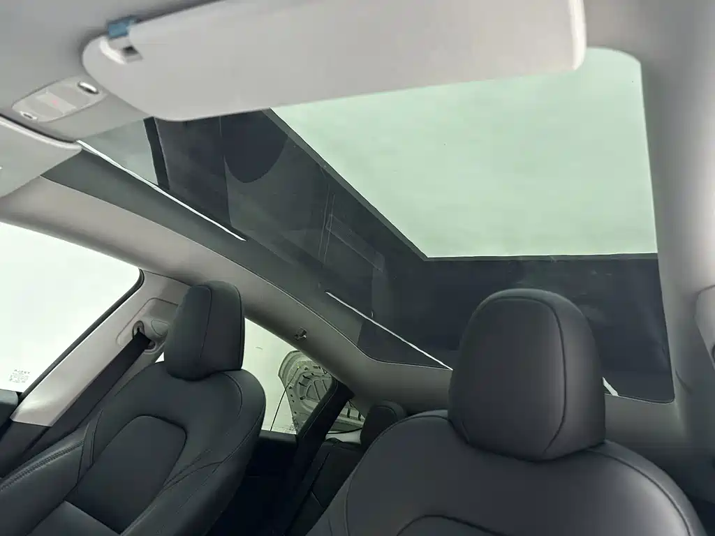 Tesla Model Y — миниатюра 15