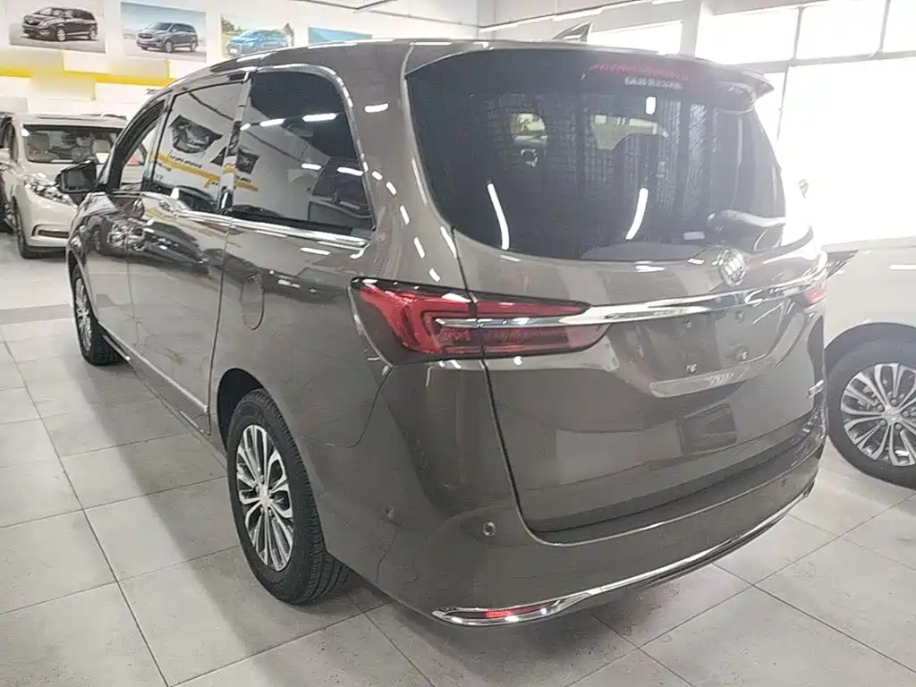 Buick GL8 — миниатюра 5