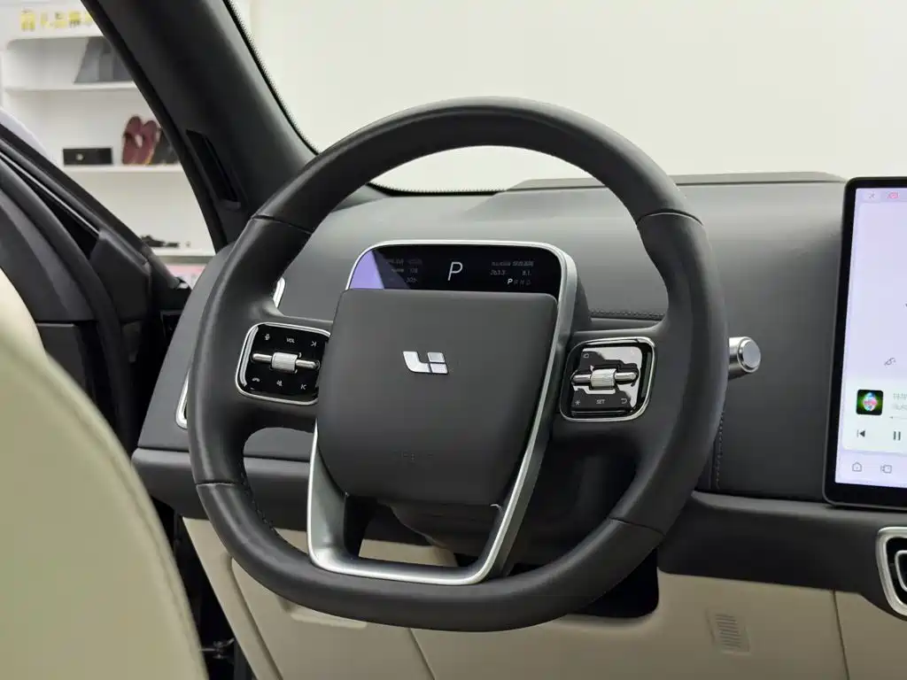 Li Auto Li L9 — миниатюра 15