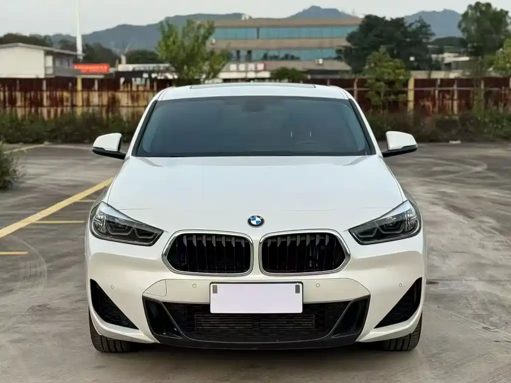 BMW X2 — миниатюра 2